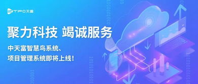聚力科技攜手智慧鳥系統(tǒng) 項目管理系統(tǒng)即將上線，引領信息技術咨詢服務新篇章